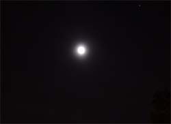Moon Over Cross River1.jpg